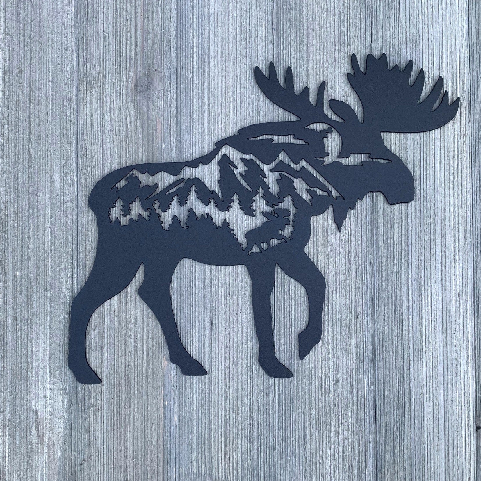 Nature & Animals