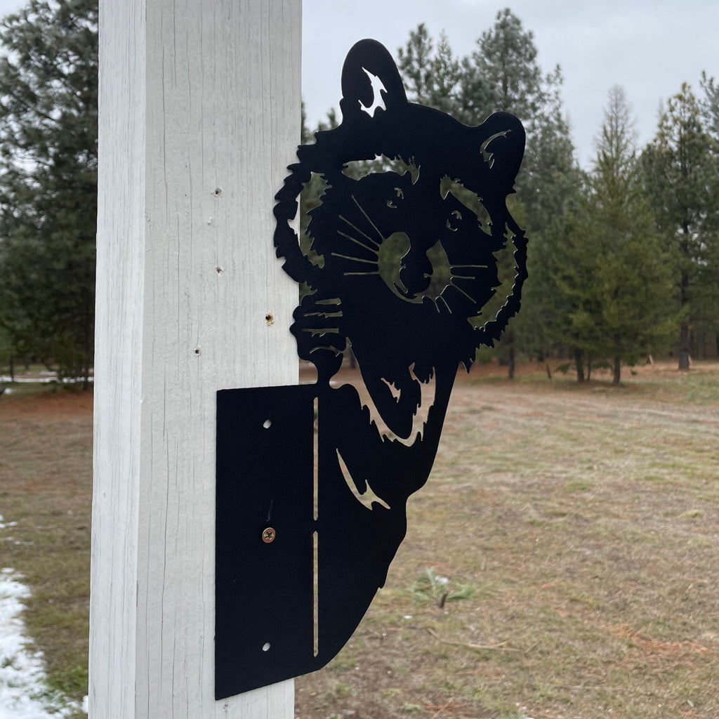 Adorable Raccoon Peek-A-Boo Metal Sign