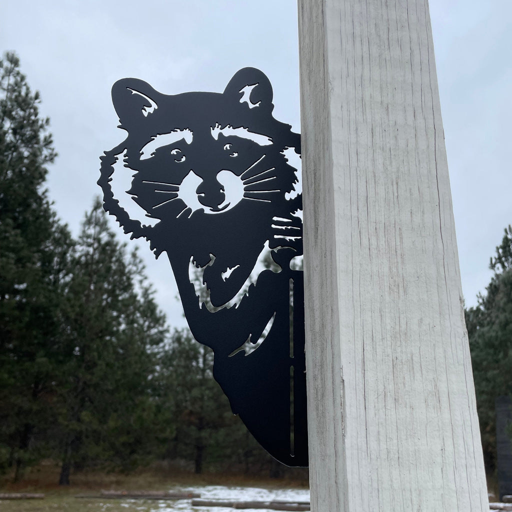 Adorable Raccoon Peek-A-Boo Metal Sign