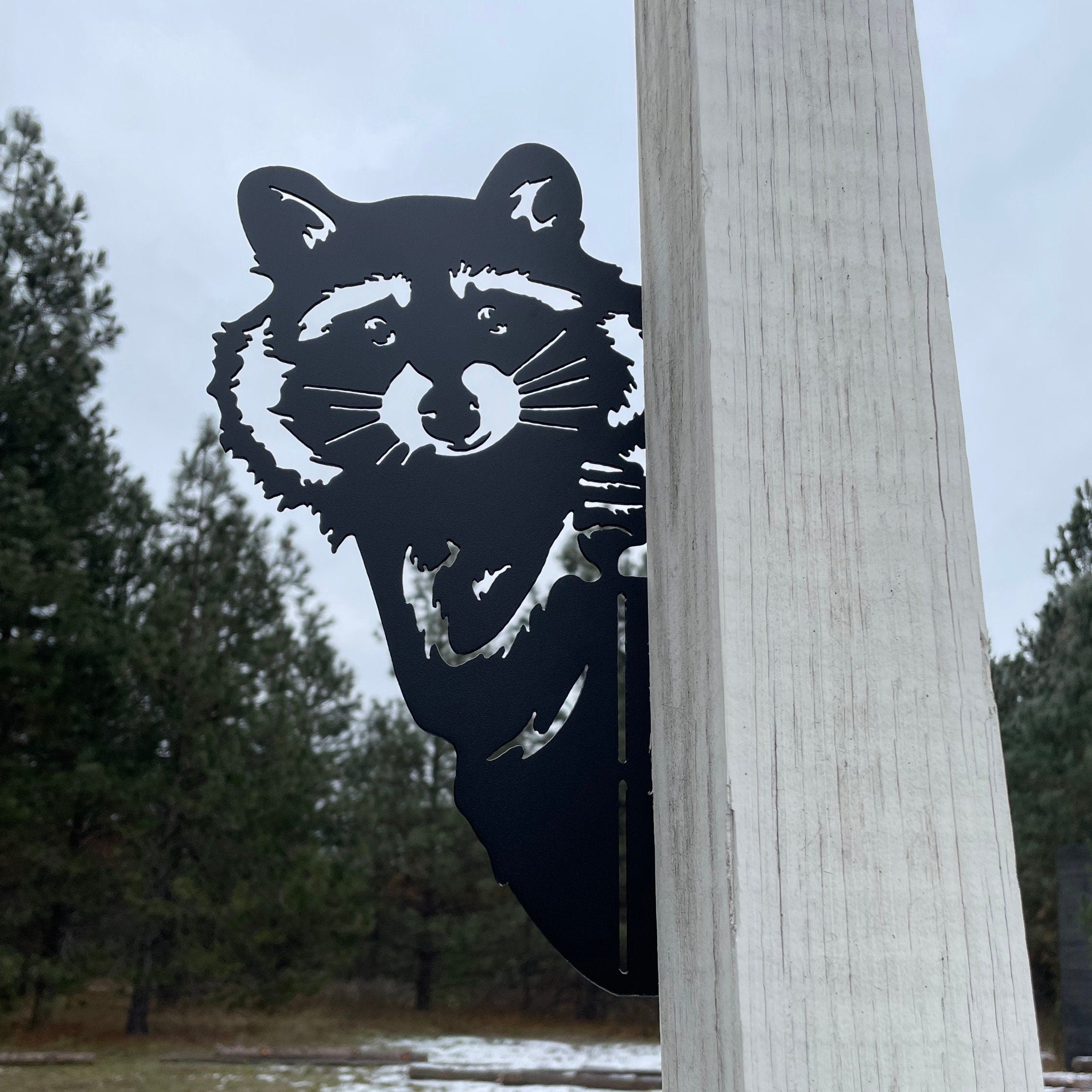 Adorable Raccoon Peek-A-Boo Metal Sign