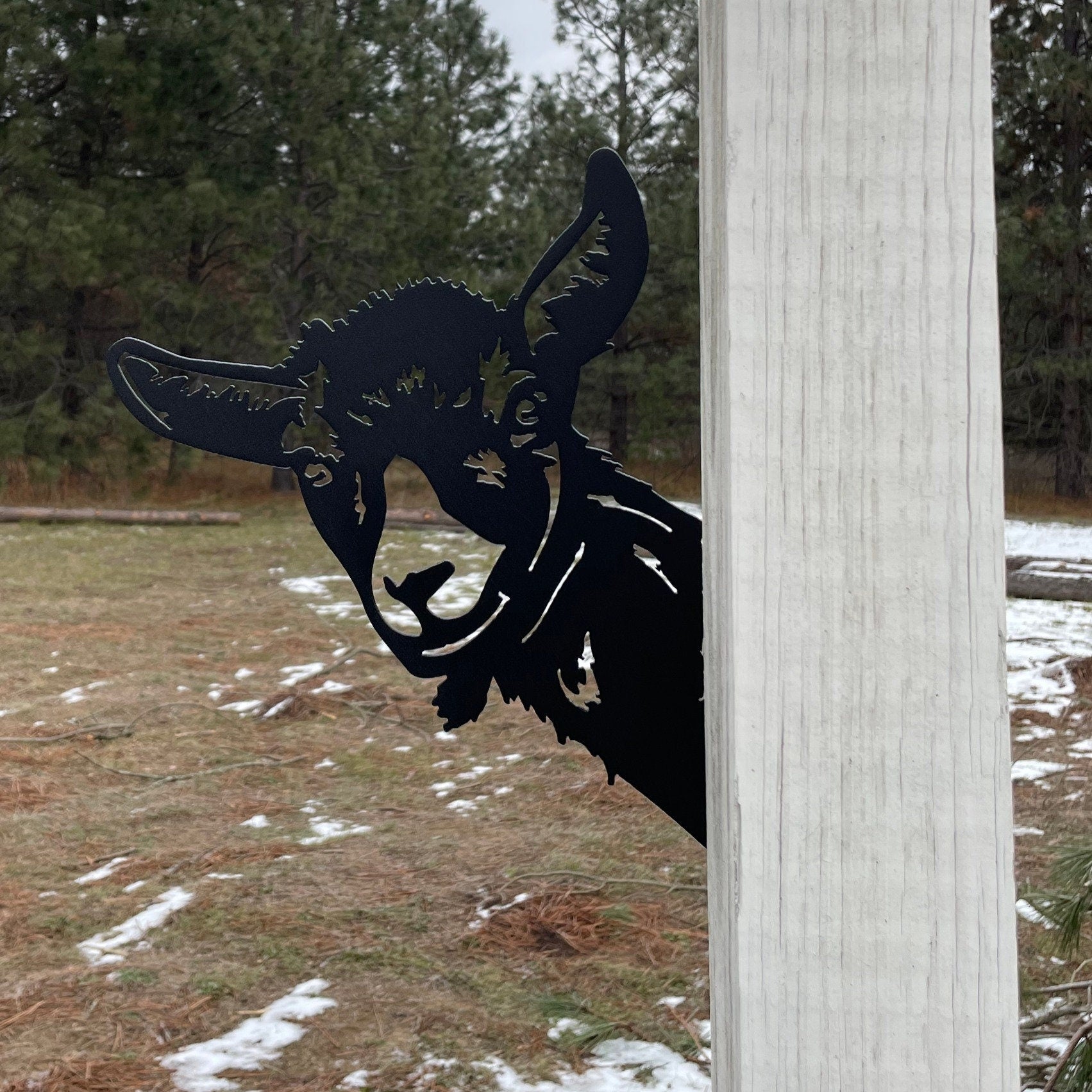 Goat Peek-A-Boo Metal Sign