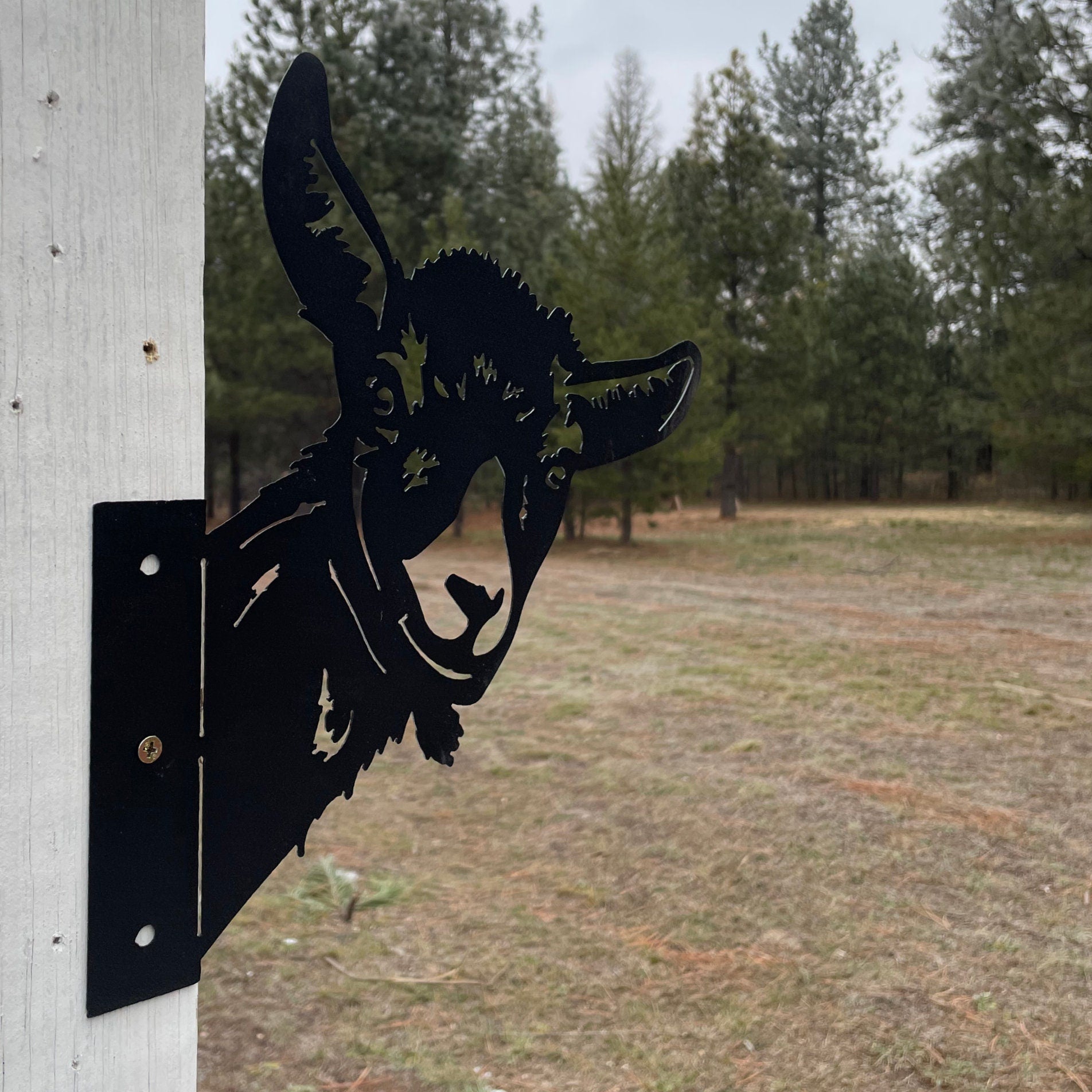 Goat Peek-A-Boo Metal Sign