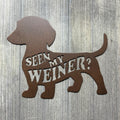 Seen My Weiner? Metal Sign - Playful Wiener Dog Shaped Sign