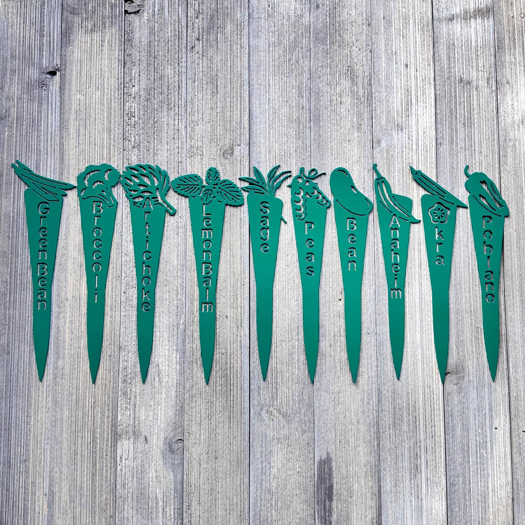Metal Garden Stake – Choose Your Plant – Powder Coated Steel Garden Marker – Outdoor Plant Label